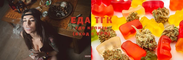 СК Аркадак