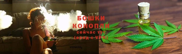 СК Аркадак