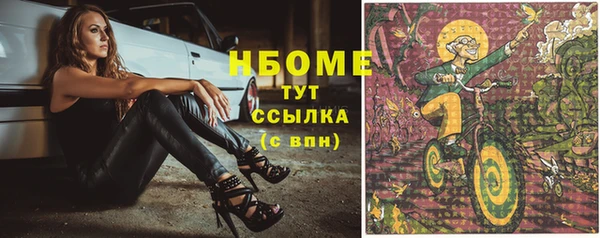 стаф Баксан