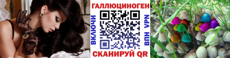закладка  Лобня  Галлюциногенные грибы Psilocybine cubensis 