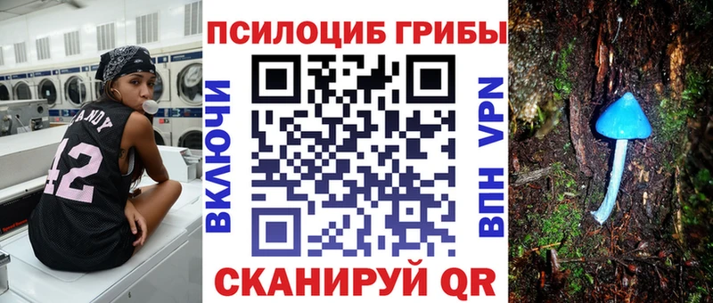 Псилоцибиновые грибы Psilocybine cubensis Лобня