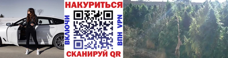 Бошки Шишки тримм  продажа наркотиков  Лобня 